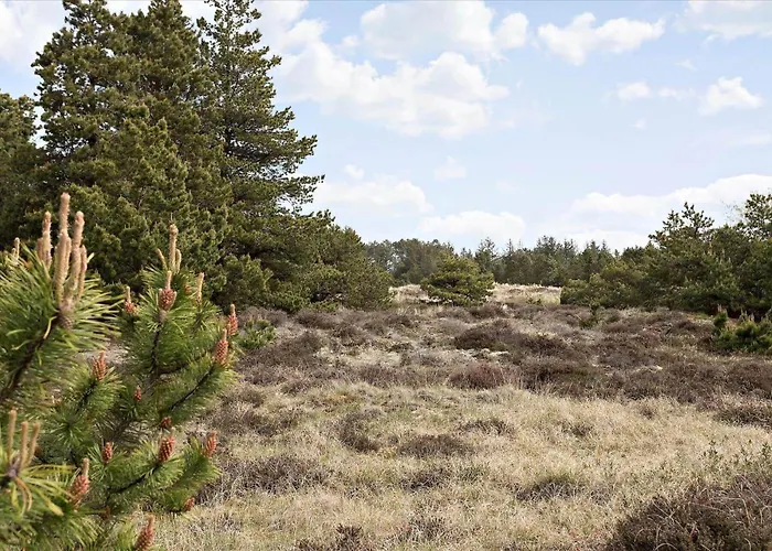 0309-romo-stagebjergvej-13 Tatil Evi Vesterhede